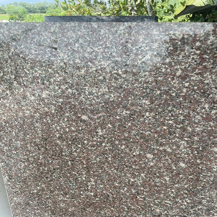đá hoa cương granite tím mông cổ