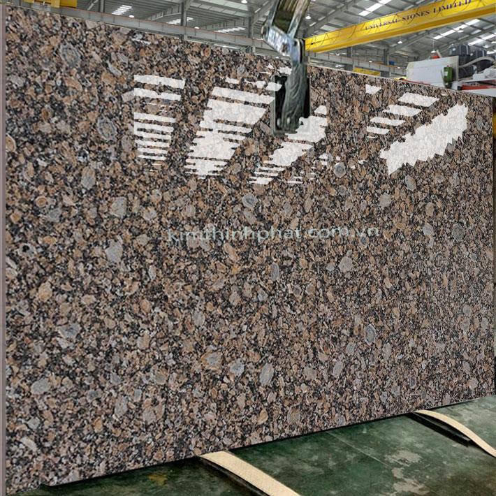 Dự án đá hoa cương granite Giallo Fiorito