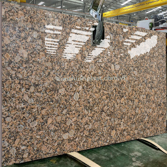 Dự án đá hoa cương granite Giallo Fiorito