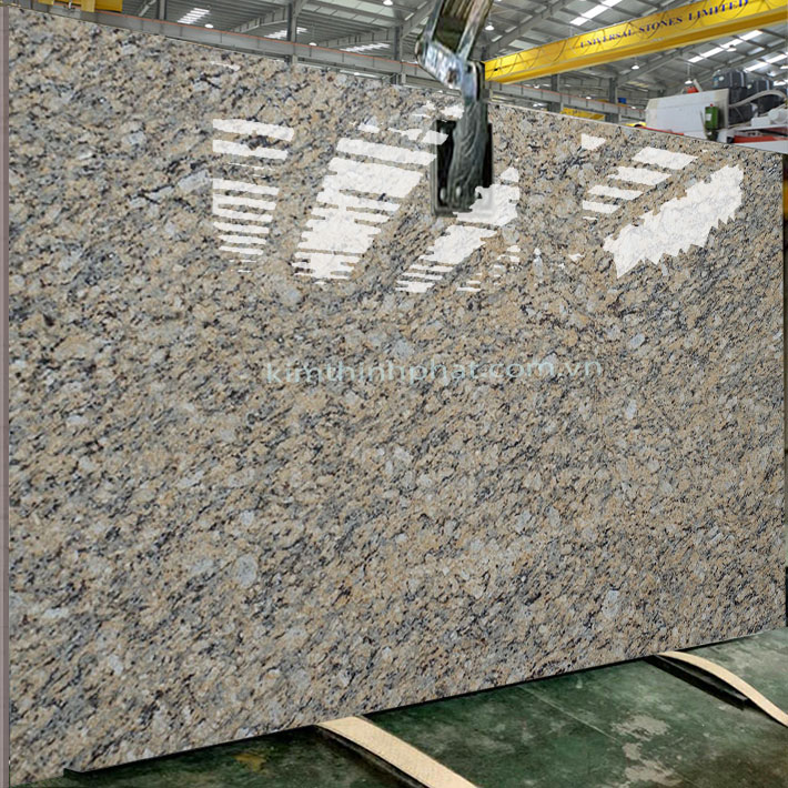 Dự án đá hoa cương granite Giallo Fiorito